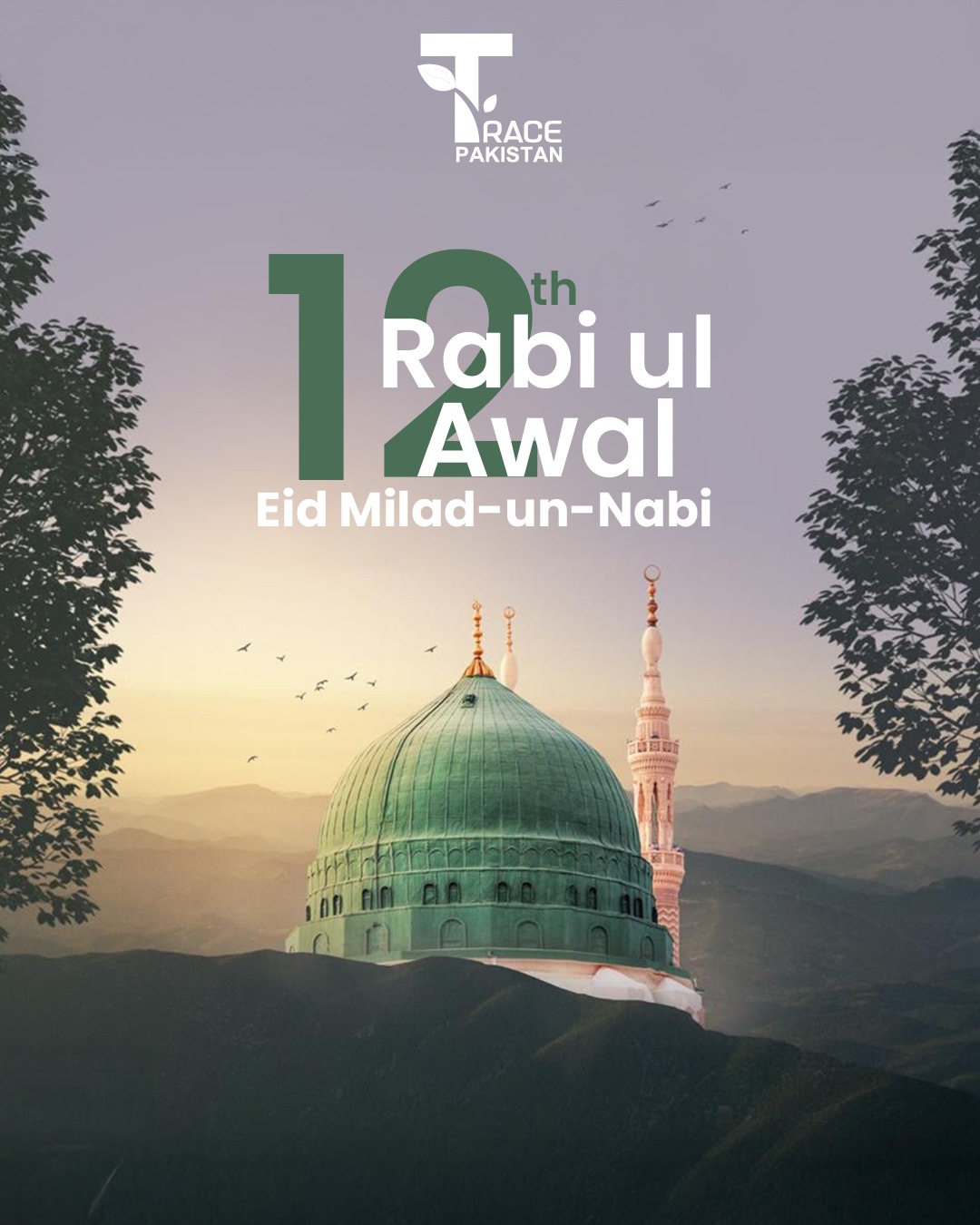 Trace - On this blessed day of 12th Rabi ul Awal, we celebrate the ...