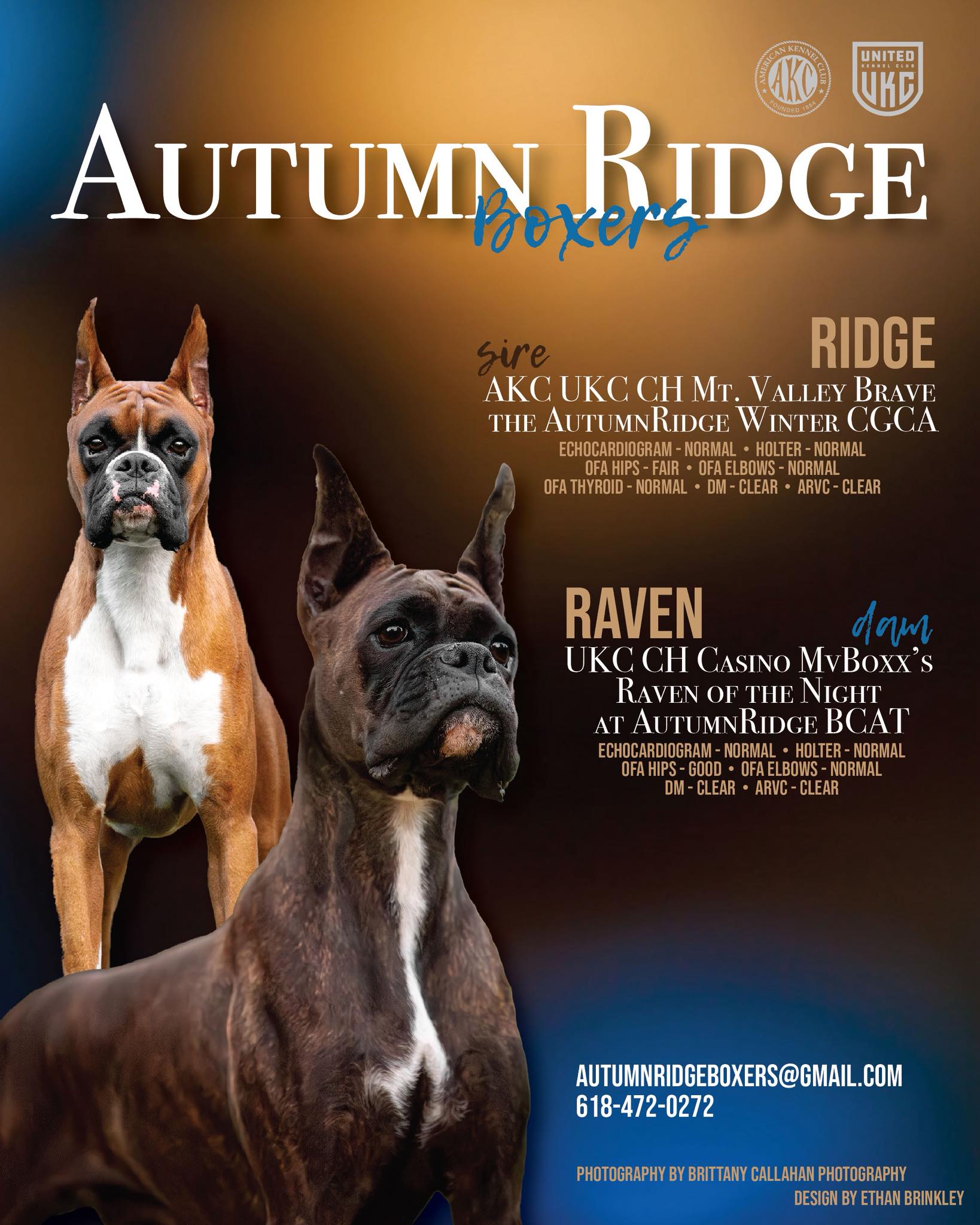 Autumn Ridge Boxers | McLeansboro IL