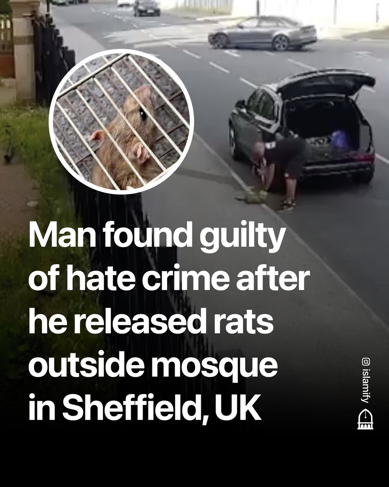 🚨 A 66-year-old man who released rats... - Islamic Reminders | Facebook