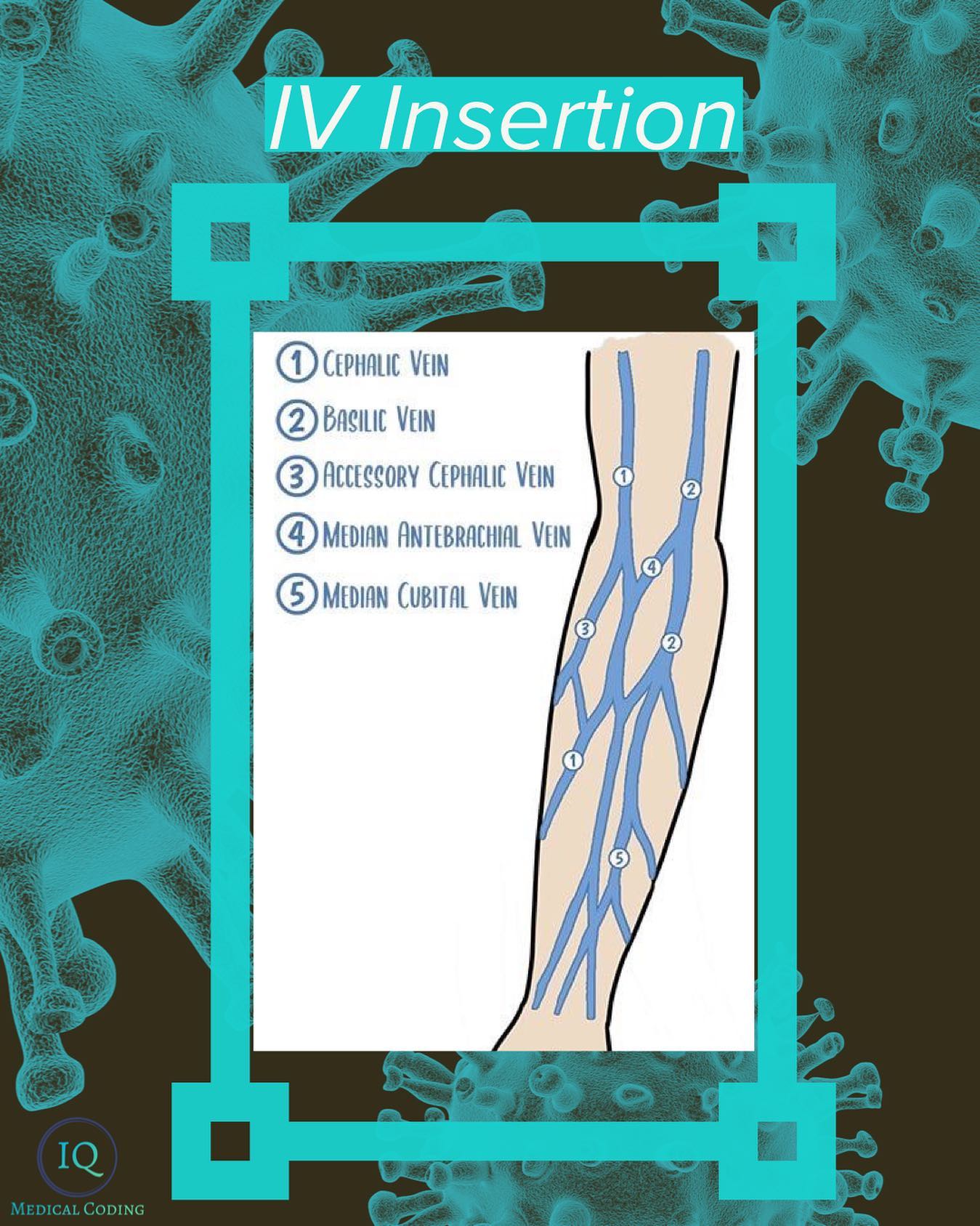 This awesome illustration shows which... - Medical Coding IQ