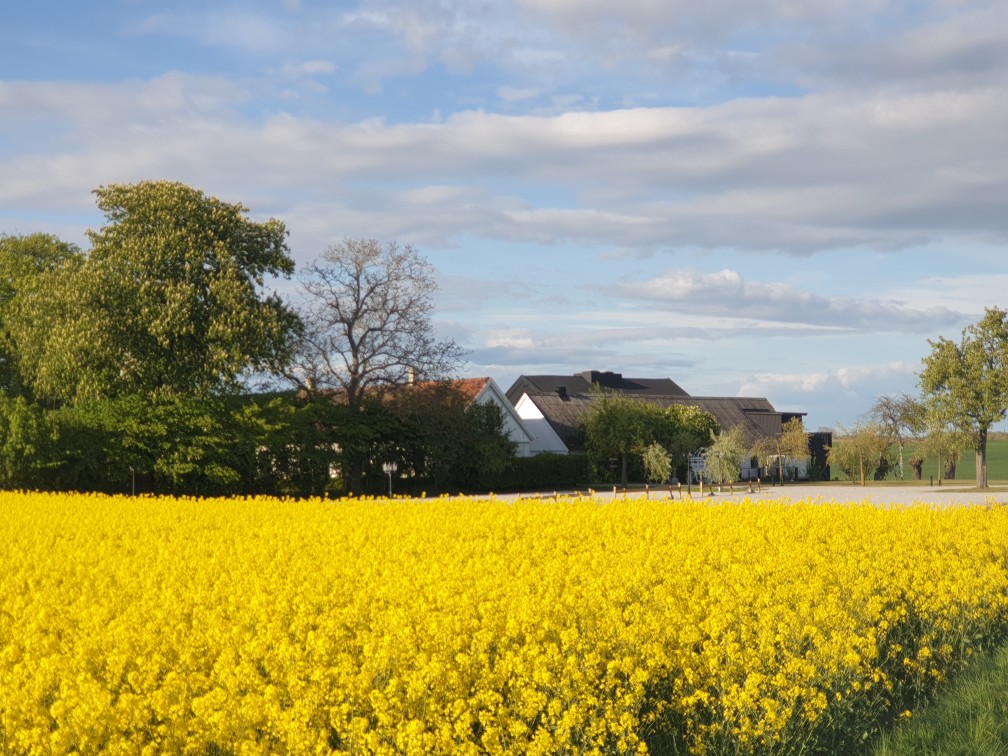 Stallgården - Stallgården added a new photo.