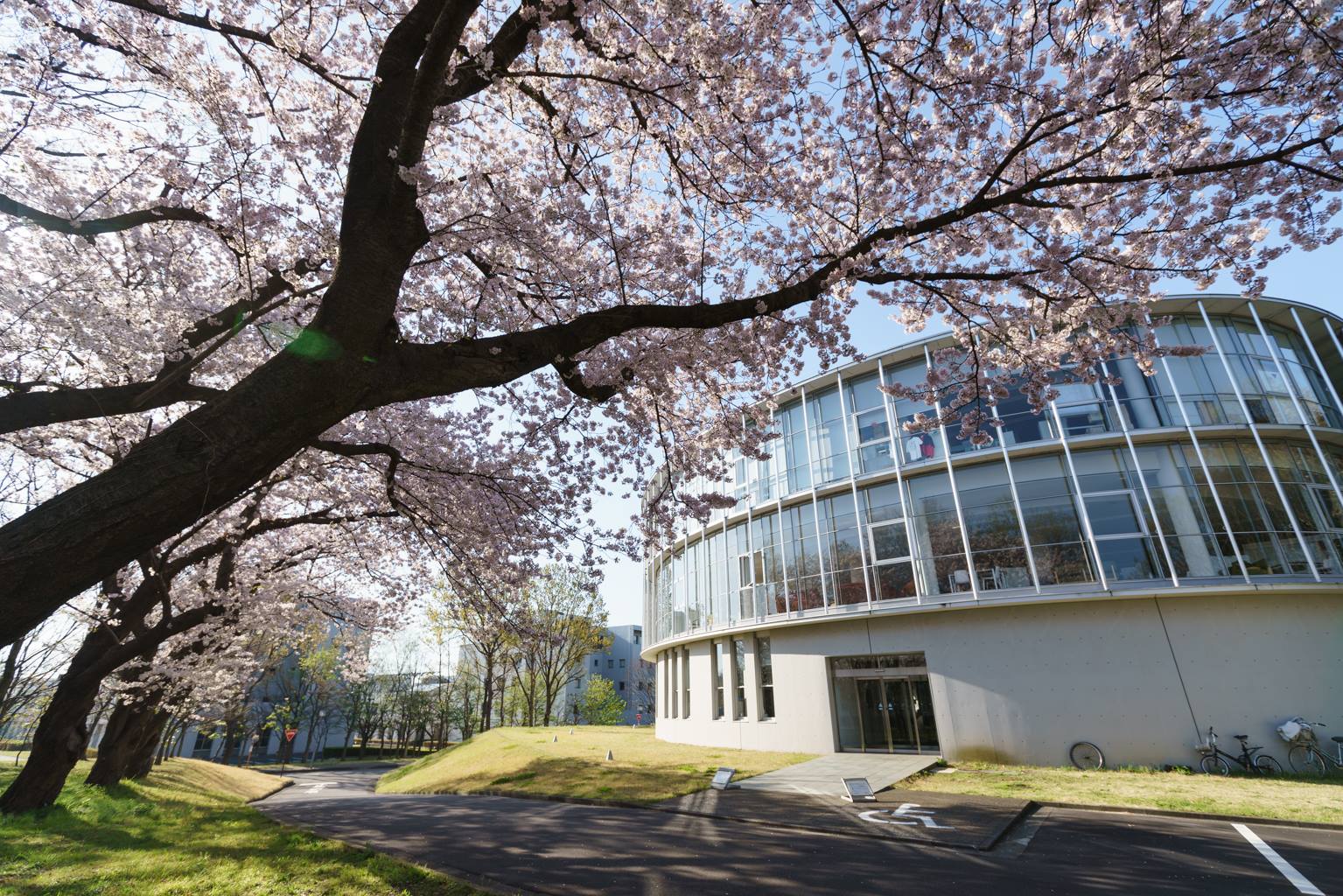 shonan fujisawa campus