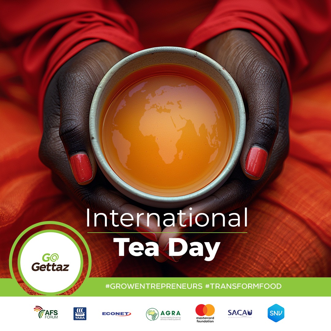 GoGettaz - 🍃☕ Happy International Tea Day! ☕🍃 Today we... | Facebook