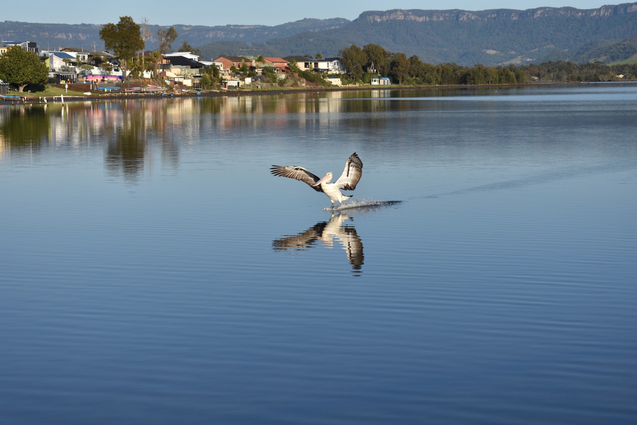 Shellharbour City Rowing Club | Oak Flats NSW