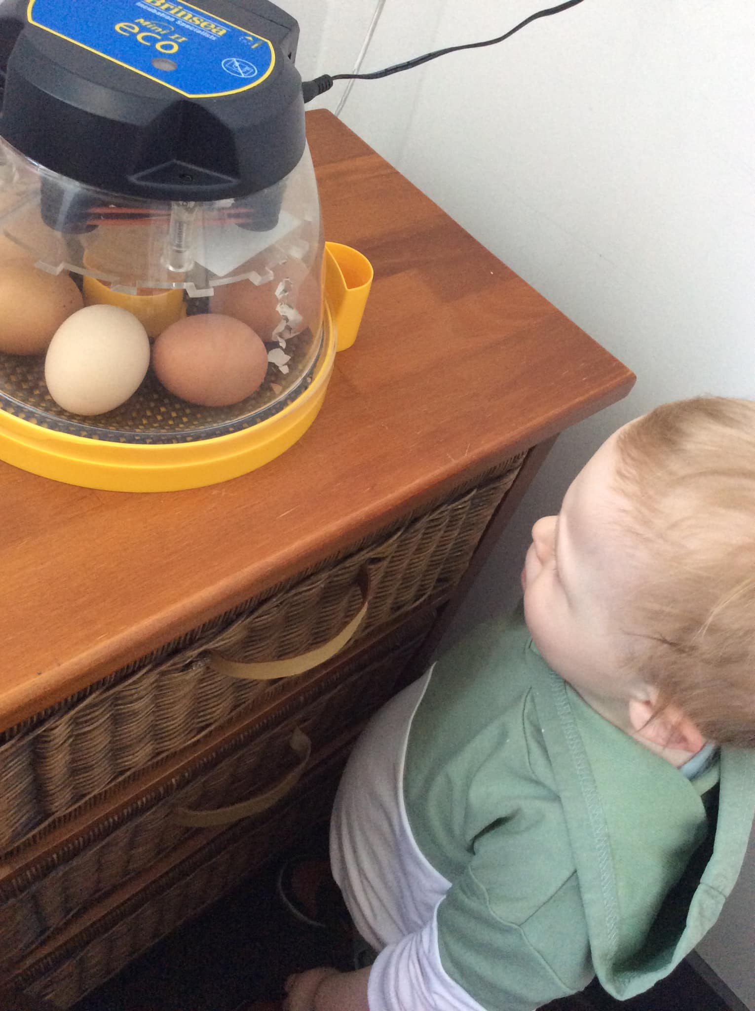 Mulberry Roots Nursery | Haslingden