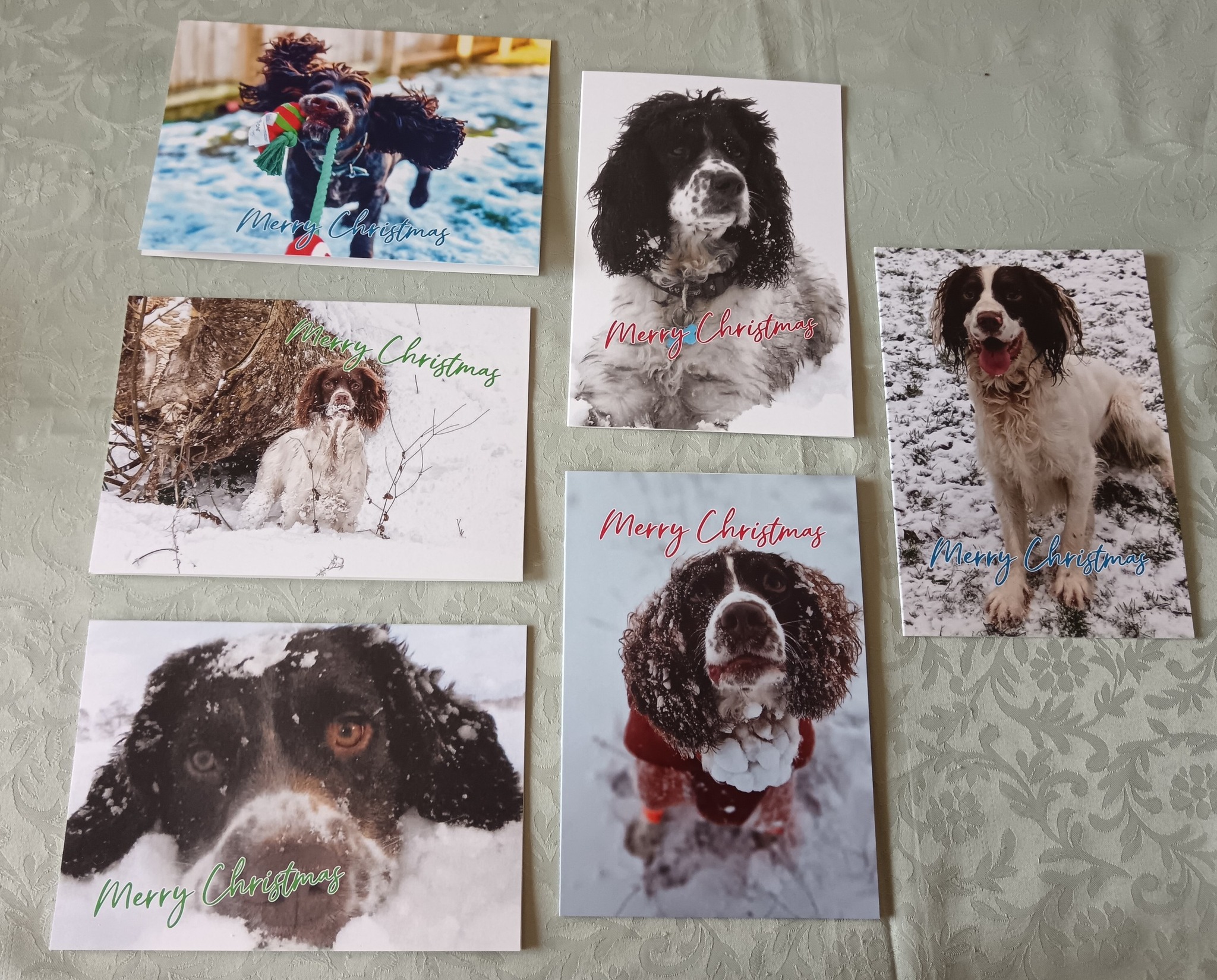 Calendars and... - Northern English Springer Spaniel Rescue | Facebook