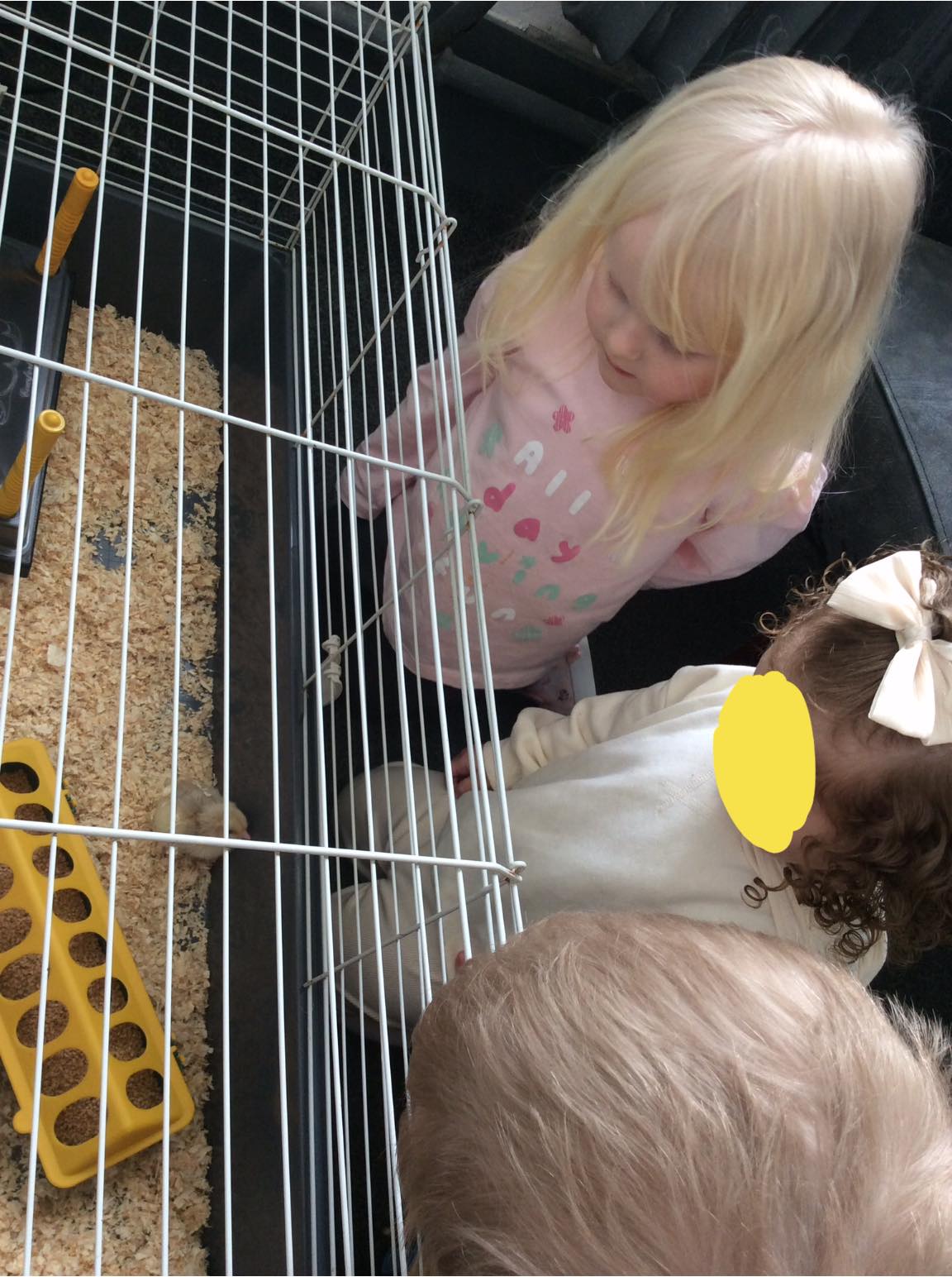 Mulberry Roots Nursery | Haslingden