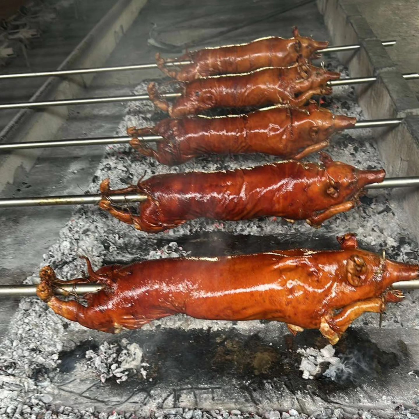 Java's Lechon - Thank you Mam Ming Nunez🐷 #javaslechonbaboyatbaka # ...