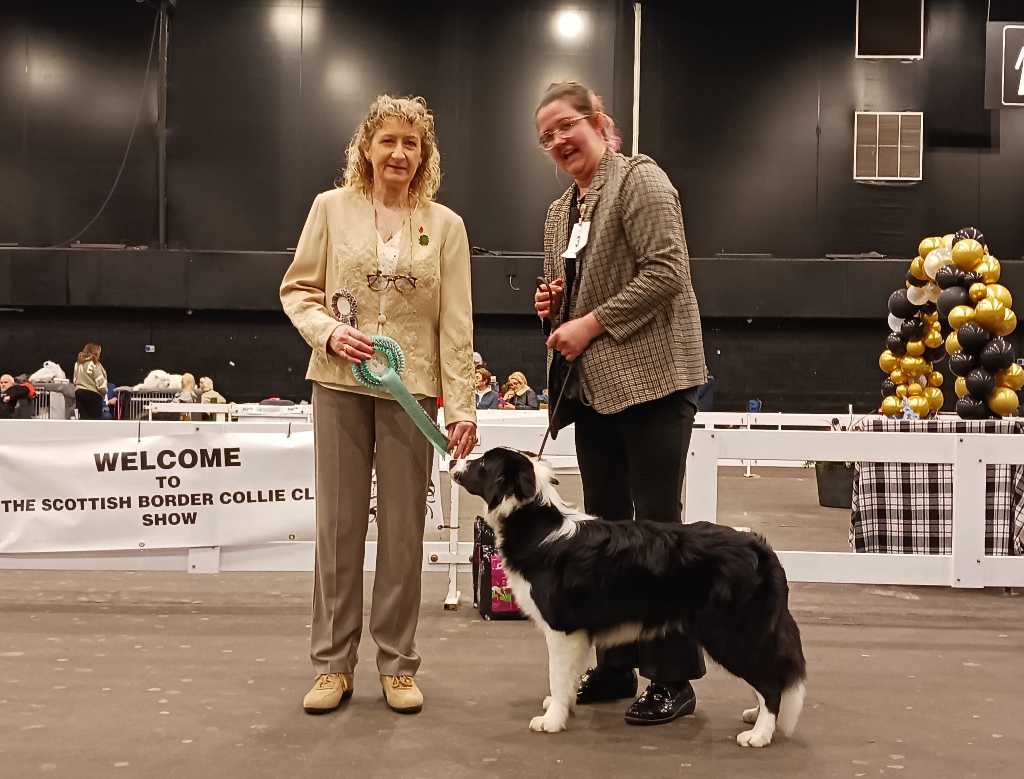 Scottish Border Collie Club... - Scottish Border Collie Club