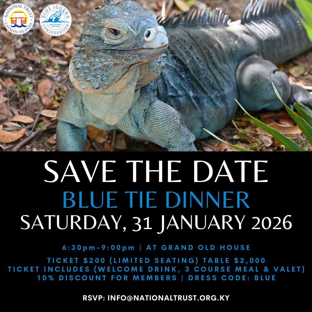blue grand cayman dress code Join us for an unforgettable evening at our upcoming Tie Dinner on Saturday, 31 January 2026, at Old House. Set under the stars on the outdoor decking, the evening promises Beach Neck:23 2024 homecoming dress Sofia Strapless Black Linen