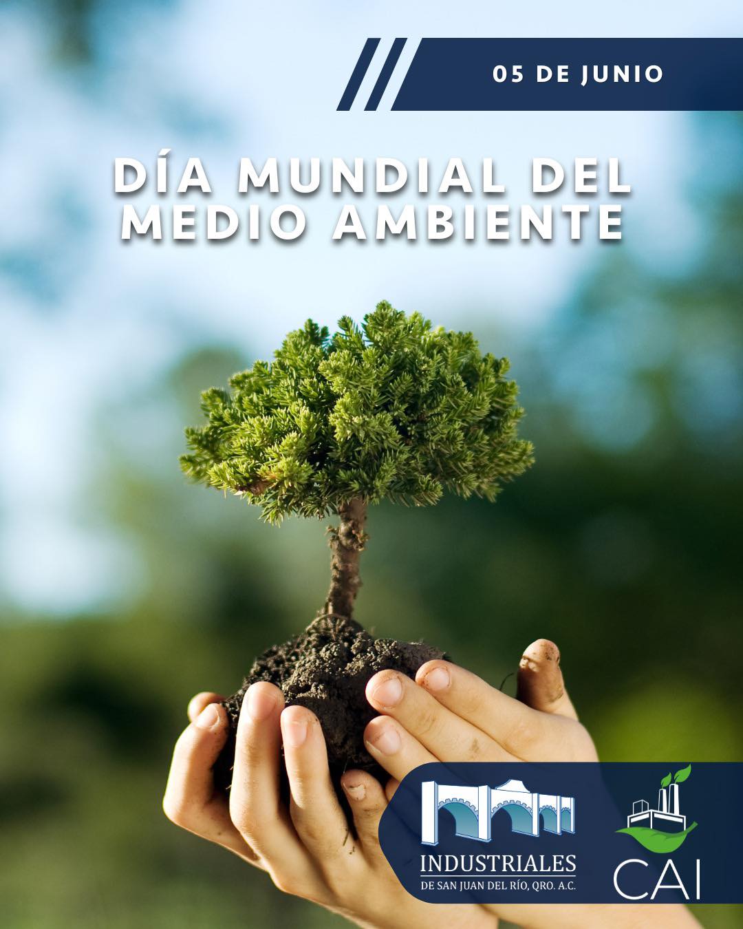 Industriales - Cada 5 de junio se celebra el Día Mundial del Medio ...
