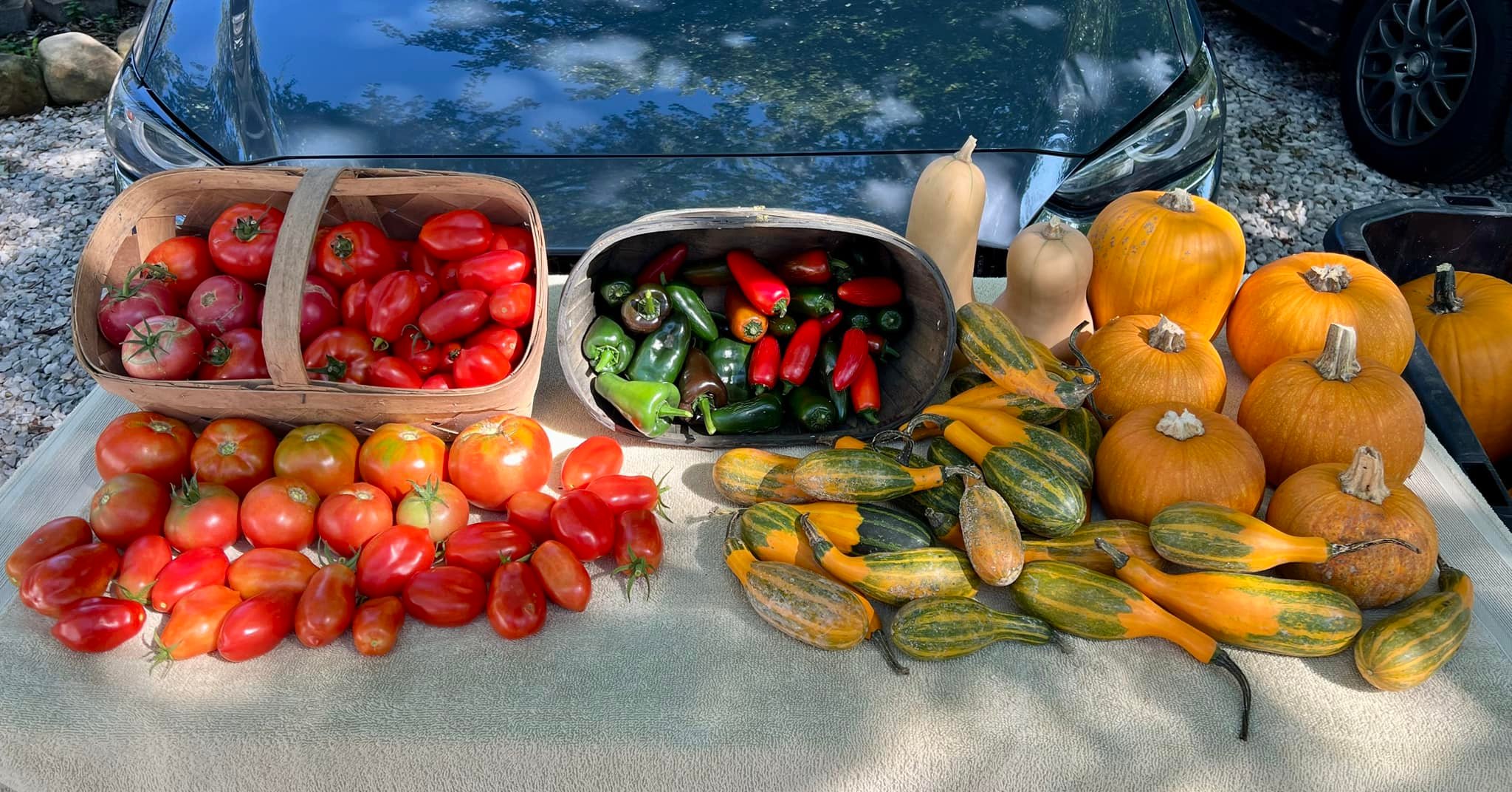 TN Roots Rusty Acres | Cookeville TN