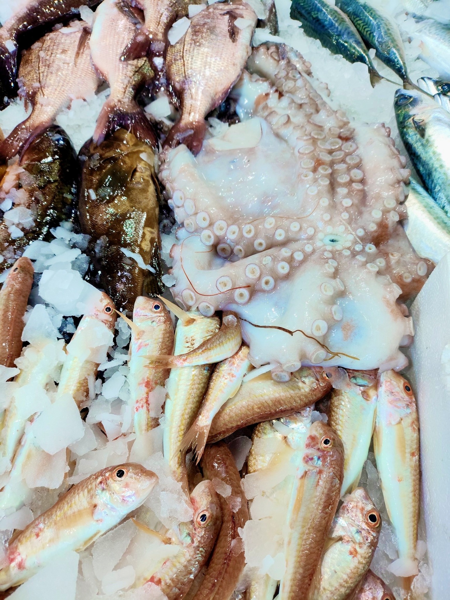To Κοχύλι Fresh Local Fish Φρεσκα Ψάρια.