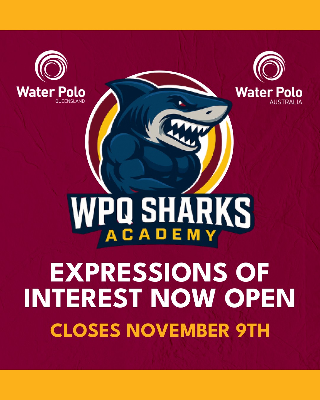 Water - WPQ Sharks Academy - Expressions of Interest Now Open! 🦈 ...