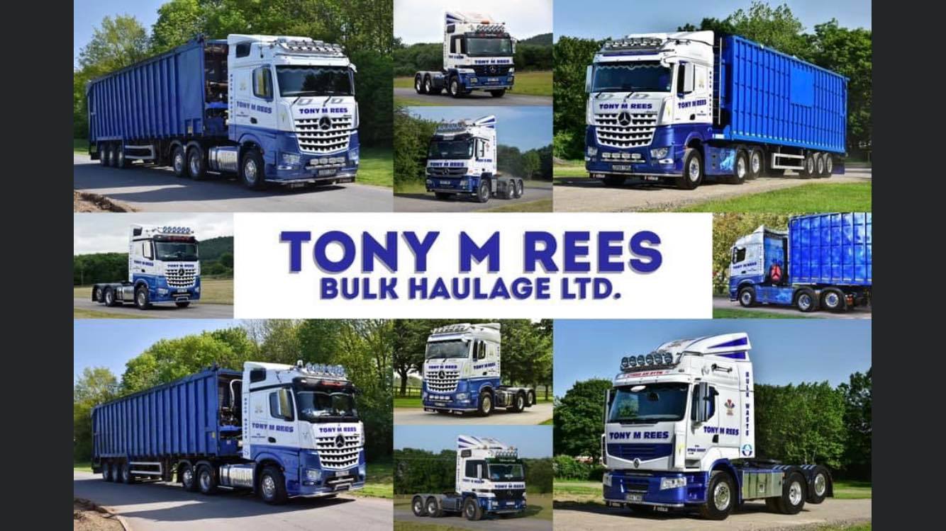 TONY M REES
