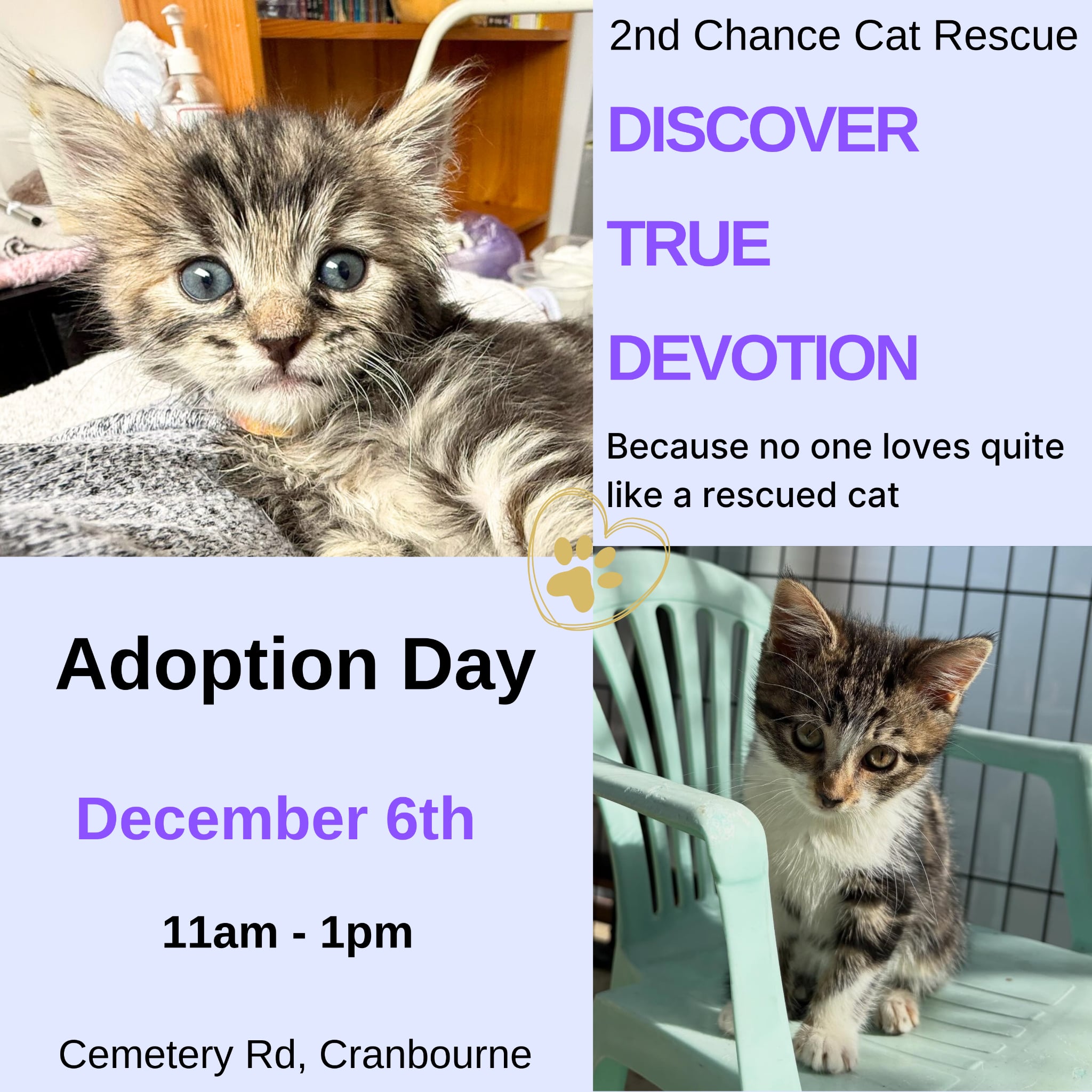 2nd Chance Cat Rescue added a new... - 2nd Chance Cat Rescue