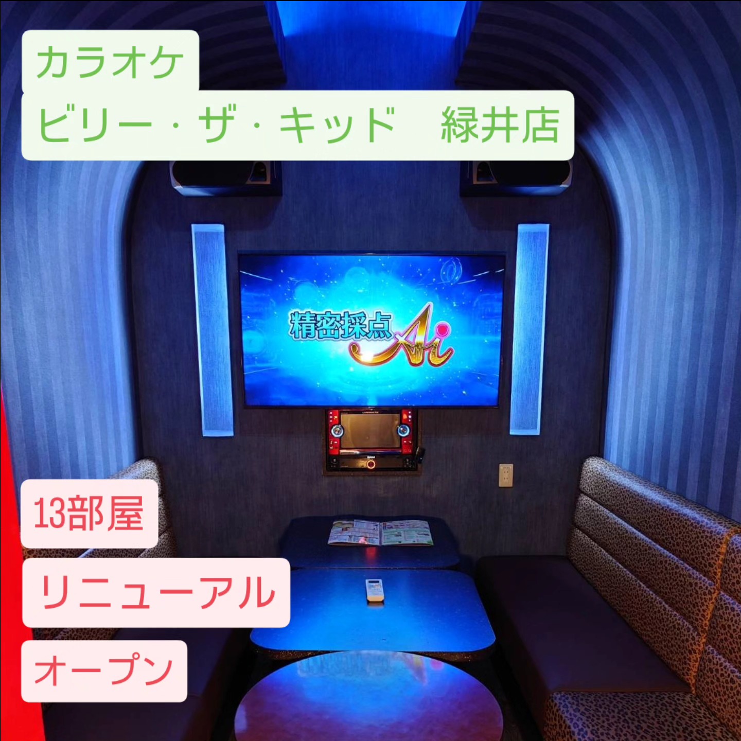 活動歴および当時の関連ビジュアル記録