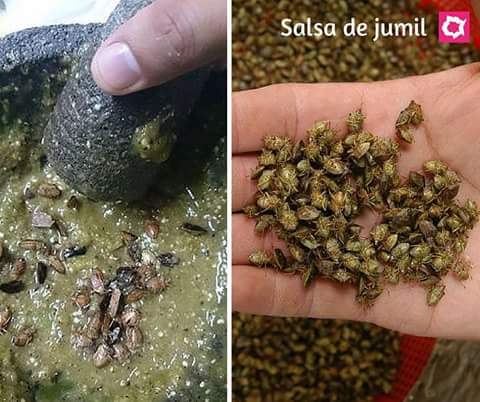 Chumiles