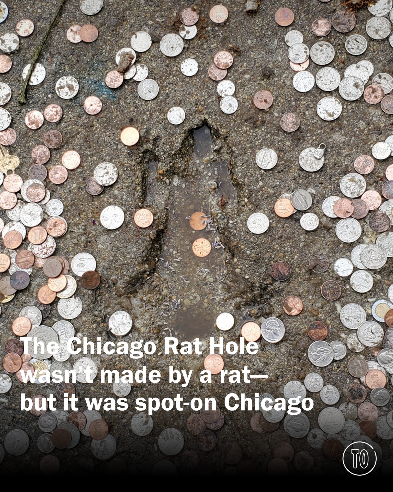 Time - Scientists have set the record straight on Chicago’s viral ...