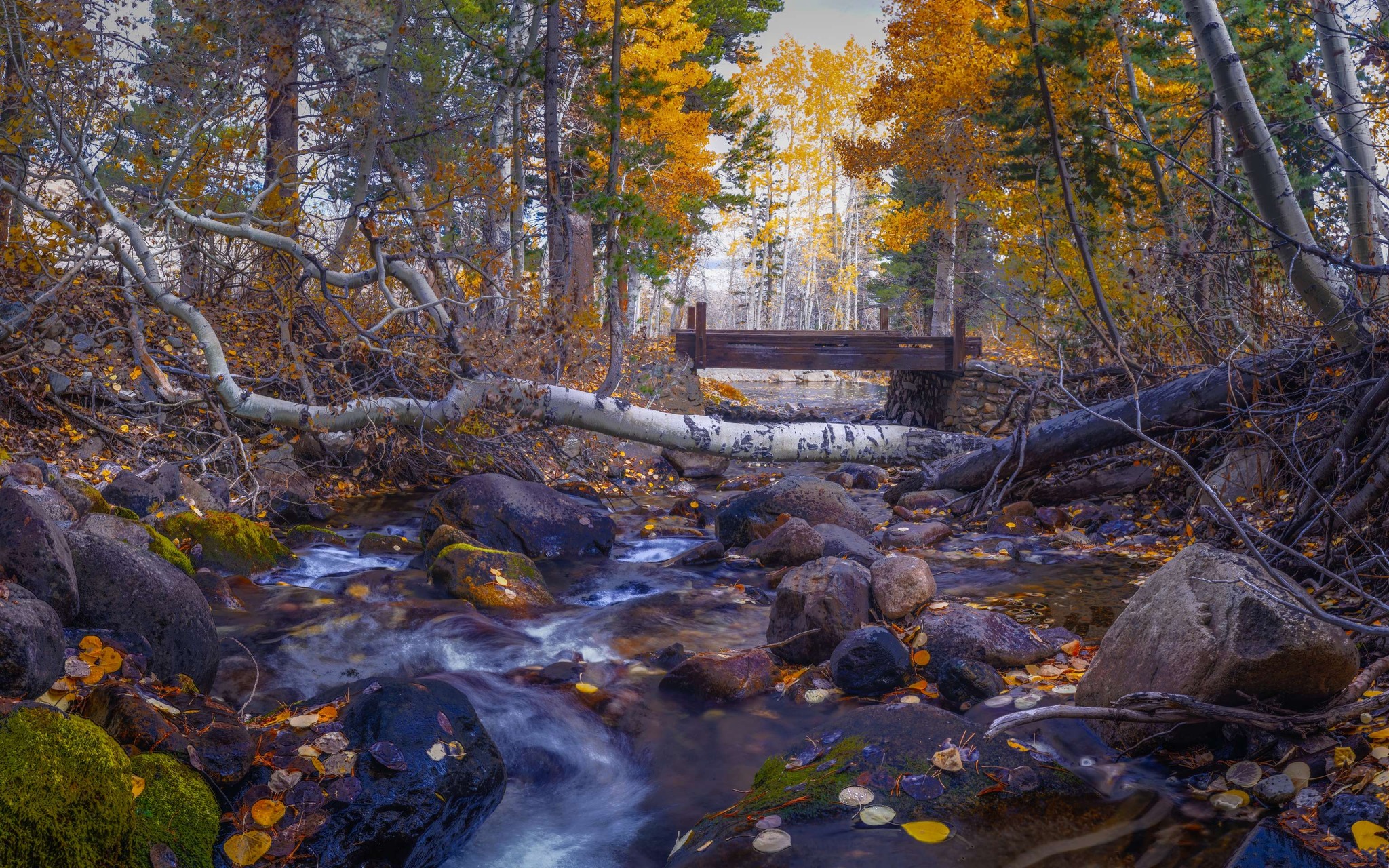 Bureau - 🍂 As fall settles across California, the Bureau of Land ...