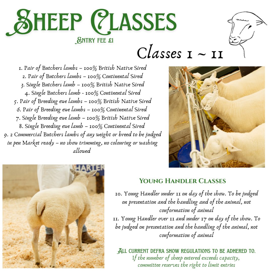 Sheep Classes £1 per entry ~ Mr... - Helston Fatstock Show | Facebook
