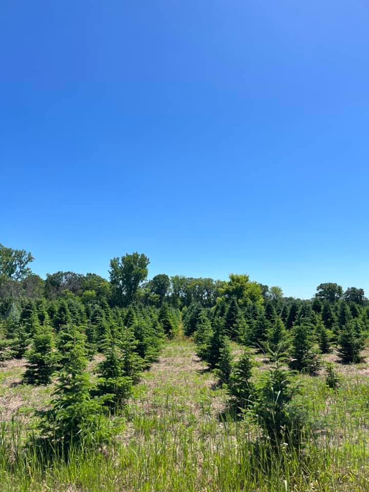 Our Farm Trees & Landscaping | Oak Grove MN
