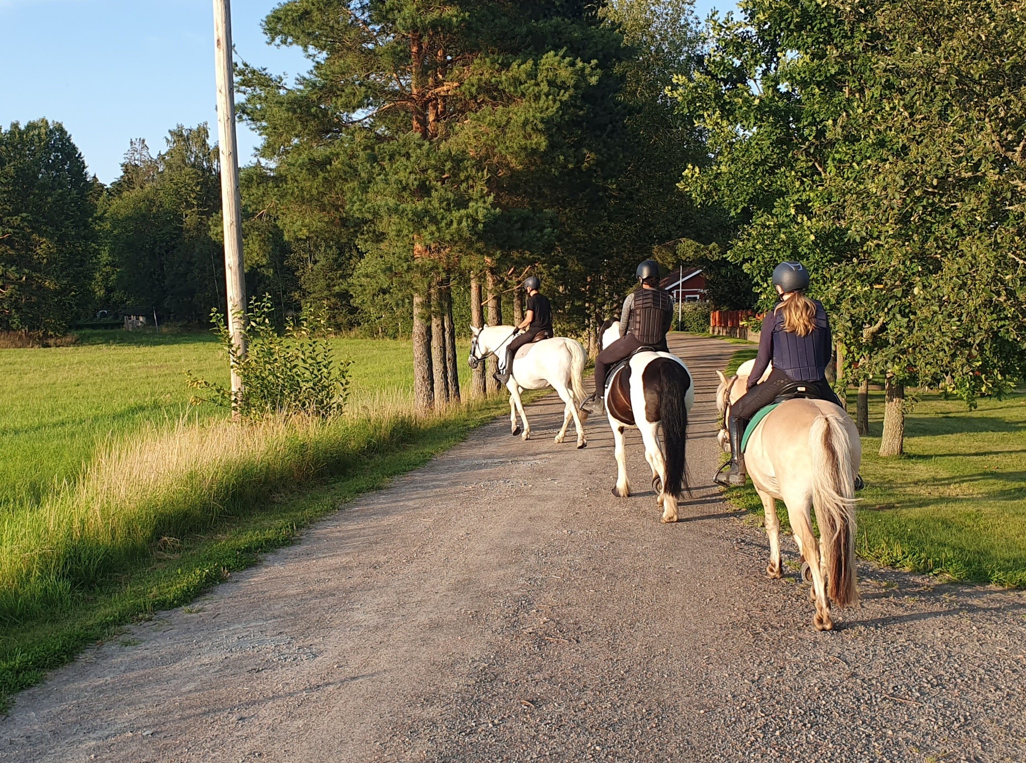 Ridklubben i Grästorp | Grästorp