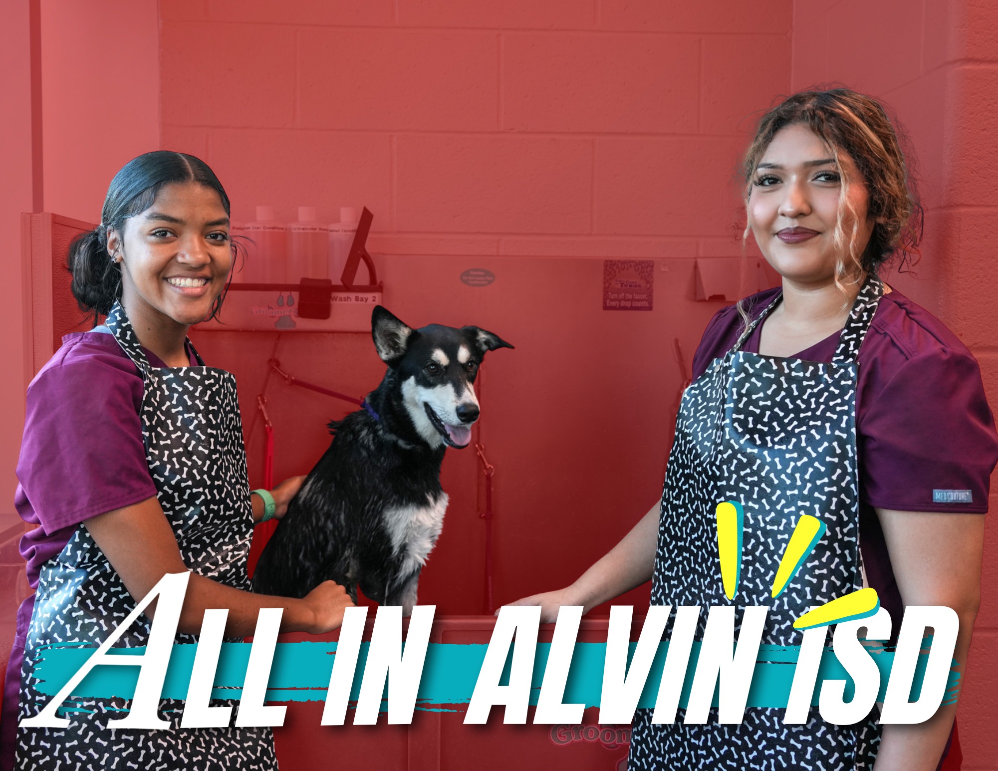 Alvin - SOMETHING TO BRAG ABOUT We’re honored to share that Alvin ISD ...