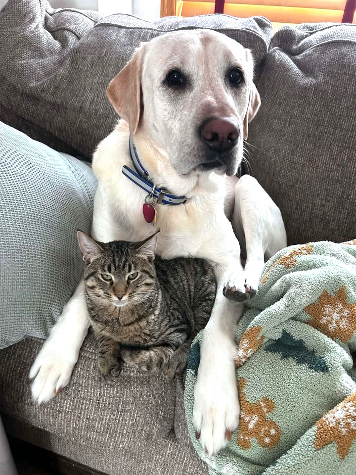 Northwoods - Alumni Update: We adopted Rumi, formerly Dana, on 9/18/25 ...