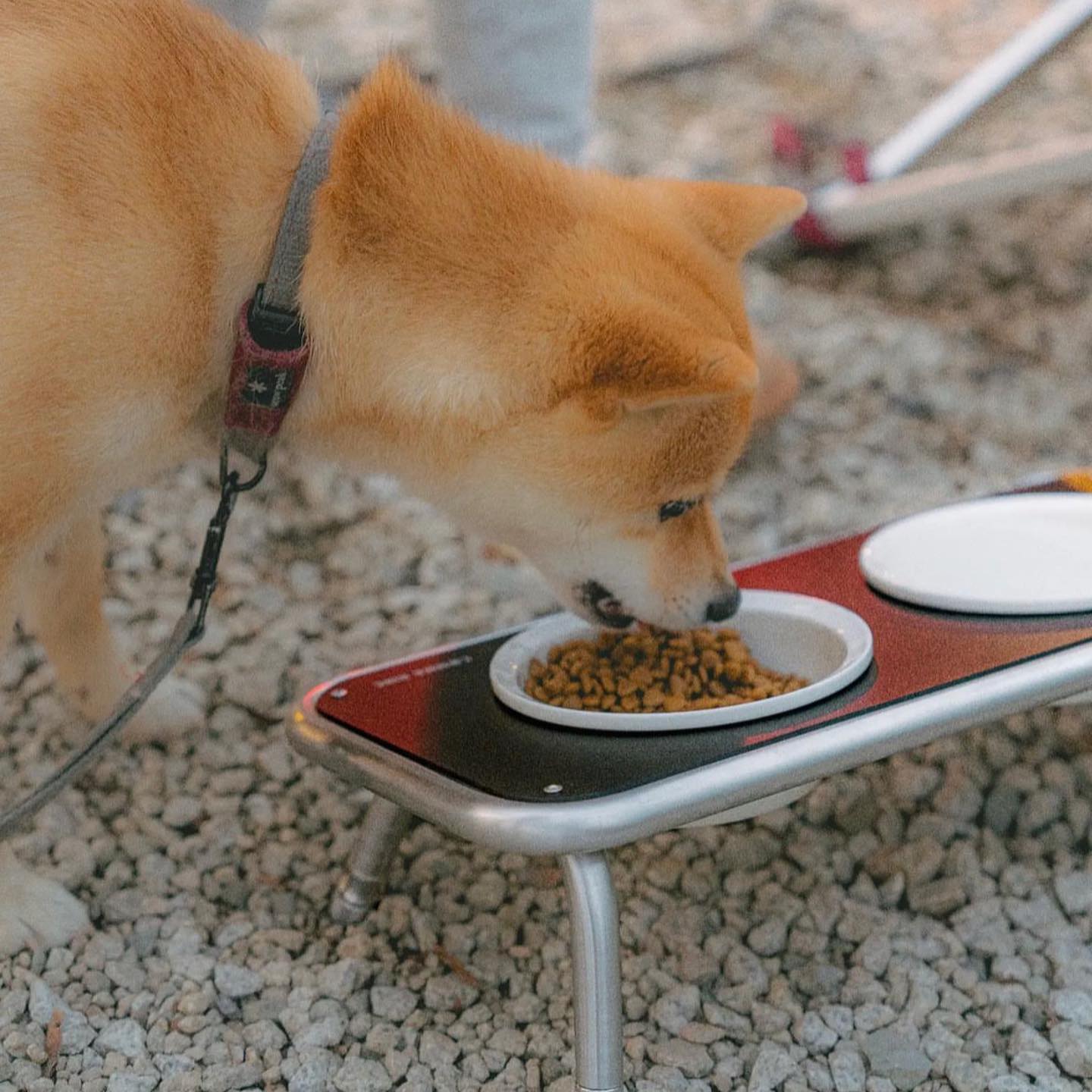 Comma Nine Pet 系列首發 寶貝的餐碗架 可順應戶外不平地面... - COMMA NINE Taiwan | Facebook