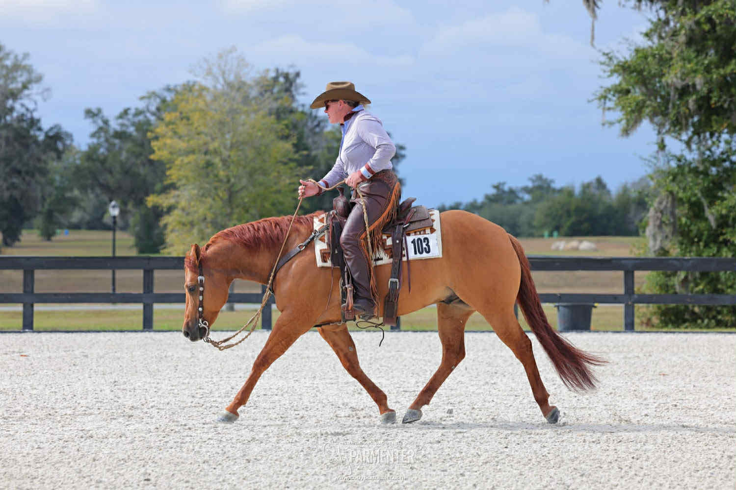 NERHA Ranch Riding & Pattern Clinic with Kristy Smith
