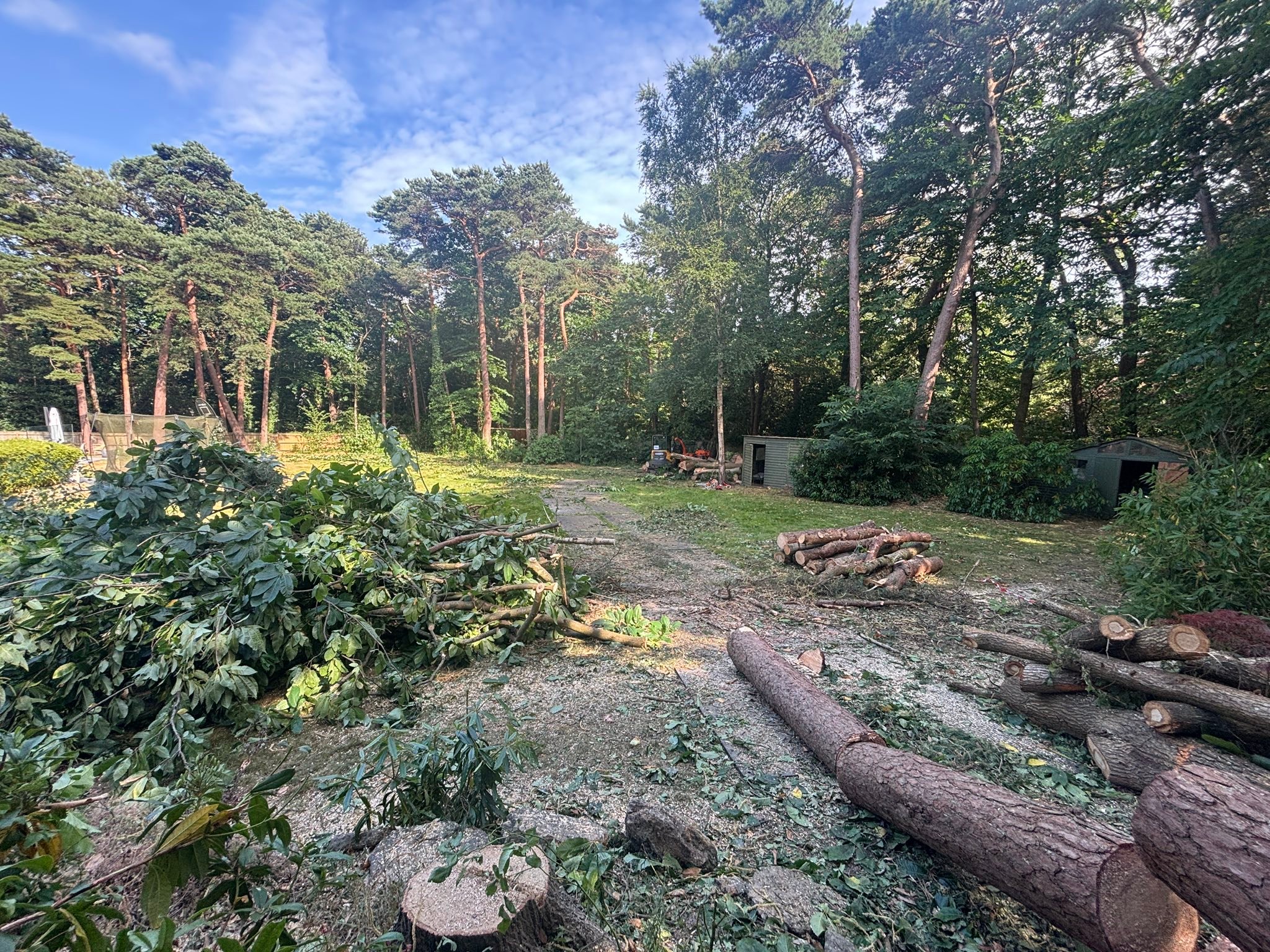 S Draper Tree Specialists LTD