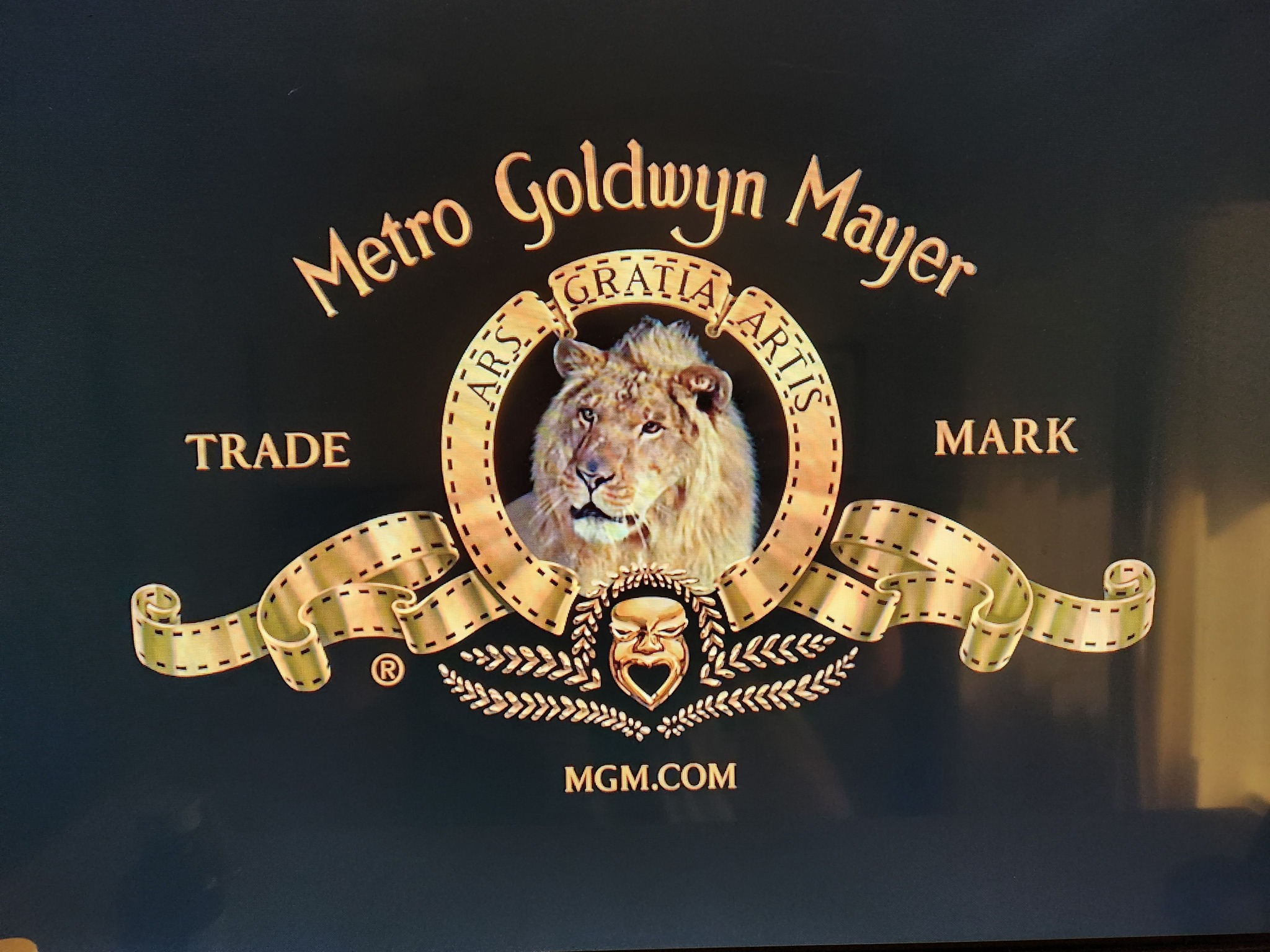 The new MGM logo is worth its weight in gold. #ArtForArtsSake #MGM