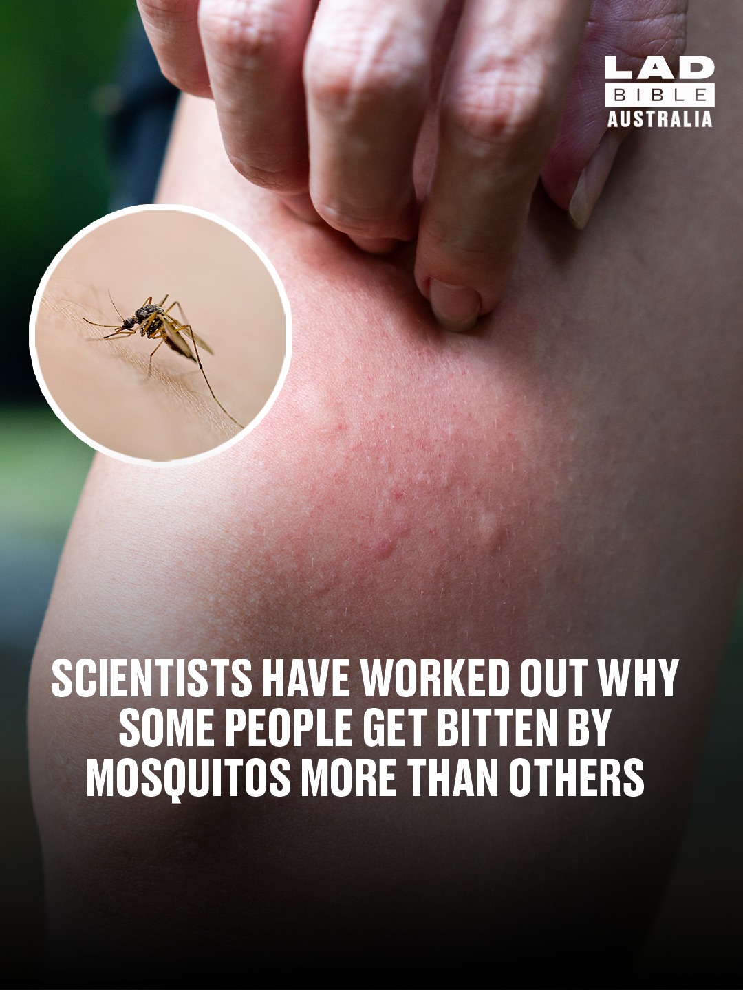 We've all thought about it before 😬🦟 - LADbible Australia | Facebook