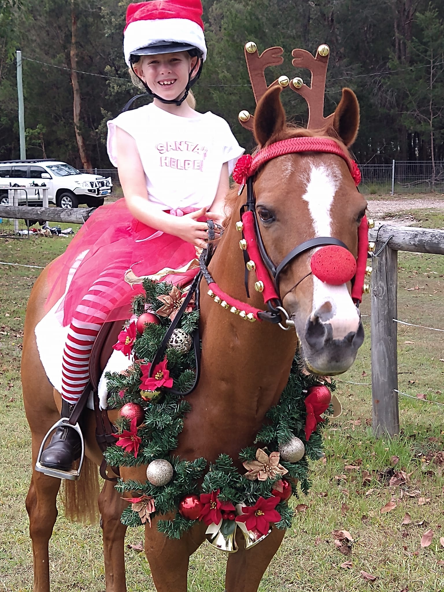 christmas fancy dress horse and rider Are you embracing the festive spirit with your or pony this year? If so, we'd love to see your Christmas-themed outfits. Please send a photo with your name, the This authentic styled costume