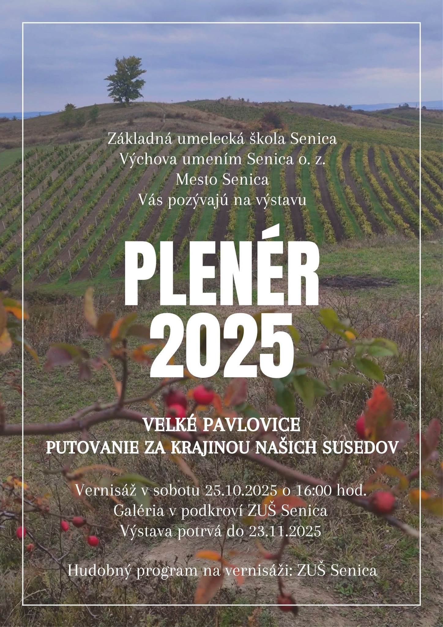 Mesto Senica - Mesto Senica added a new photo.