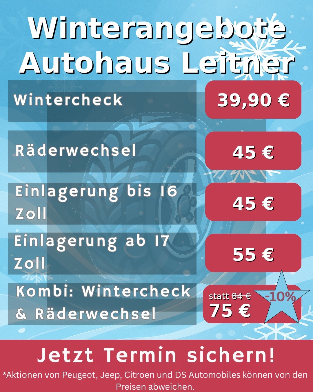 Kosten Wintercheck Auto