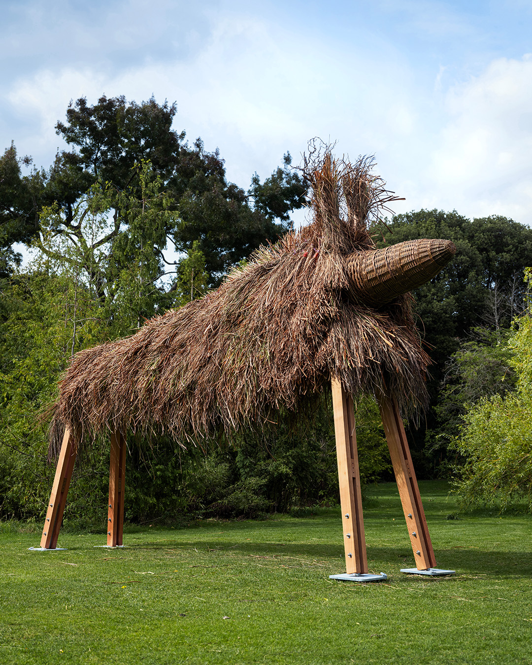 Royal - Meet Fibredog Carefully crafted from woven wicker, thatched ...