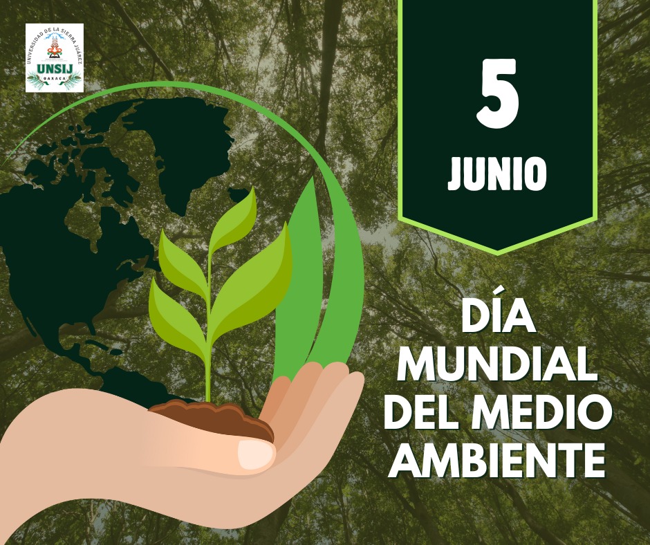 Universidad - 🌍 Día Mundial del Medio Ambiente – 5 de junio 🌿 Cada 5 de ...