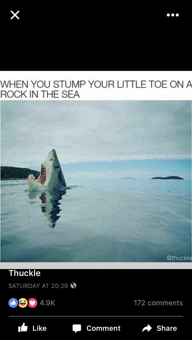 Memes On Roids