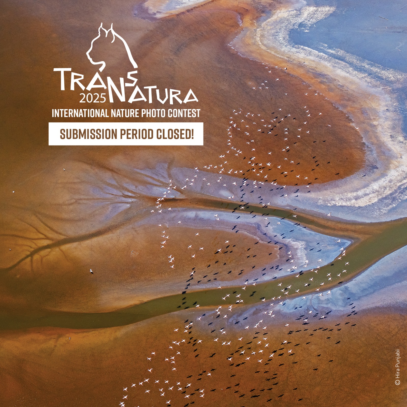 TransNatura International Nature Photo Contest | Sfântu Gheorghe