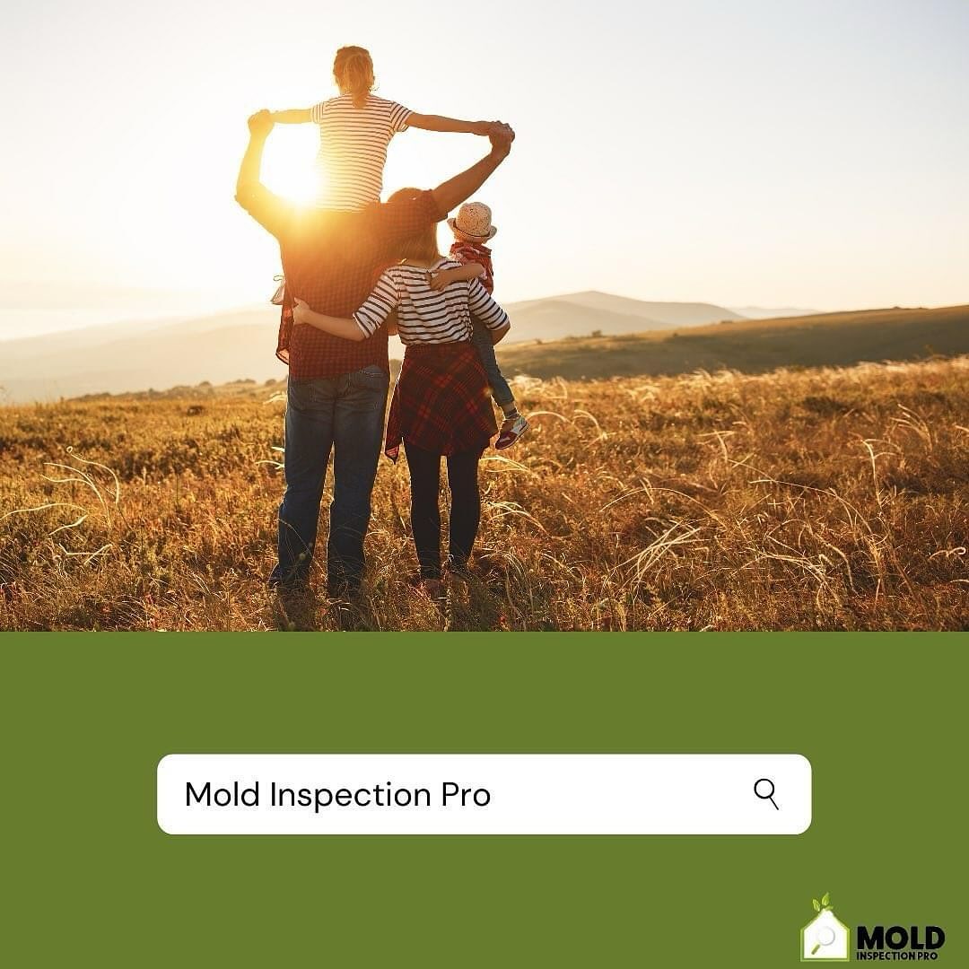 🎉 We’re excited to share that Mold... - Mold Inspection Pro | Facebook