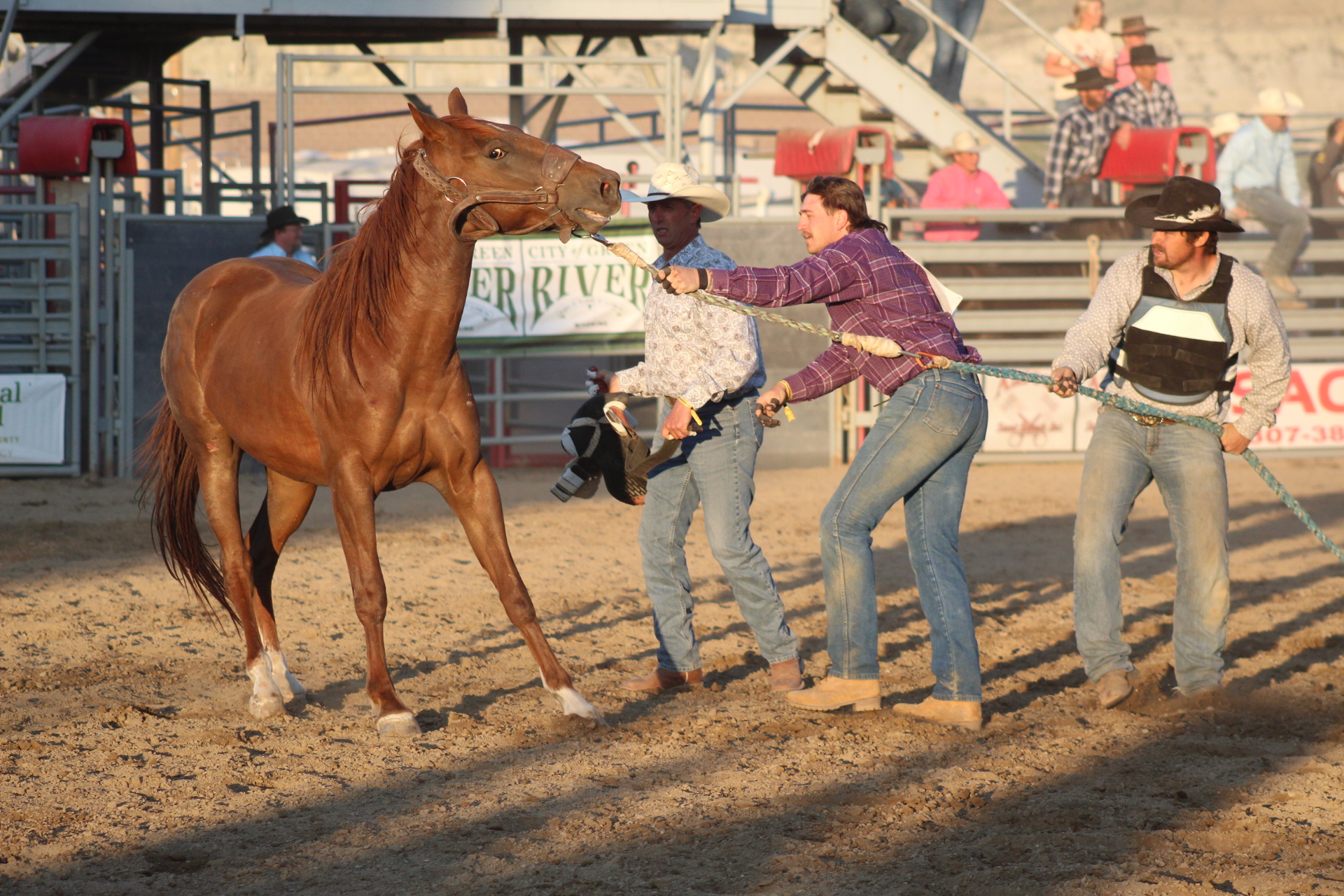 Overland Stage Stampede, Green River Wyoming | Green River WY