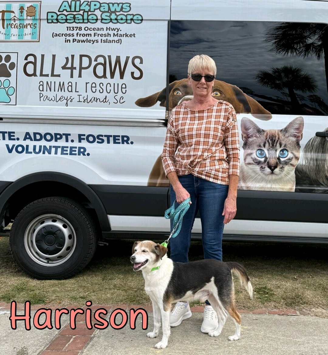 All 4 Paws Animal Rescue added... - All 4 Paws Animal Rescue
