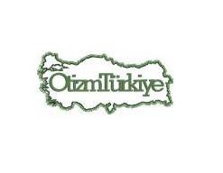 Otistik Değil Otizm