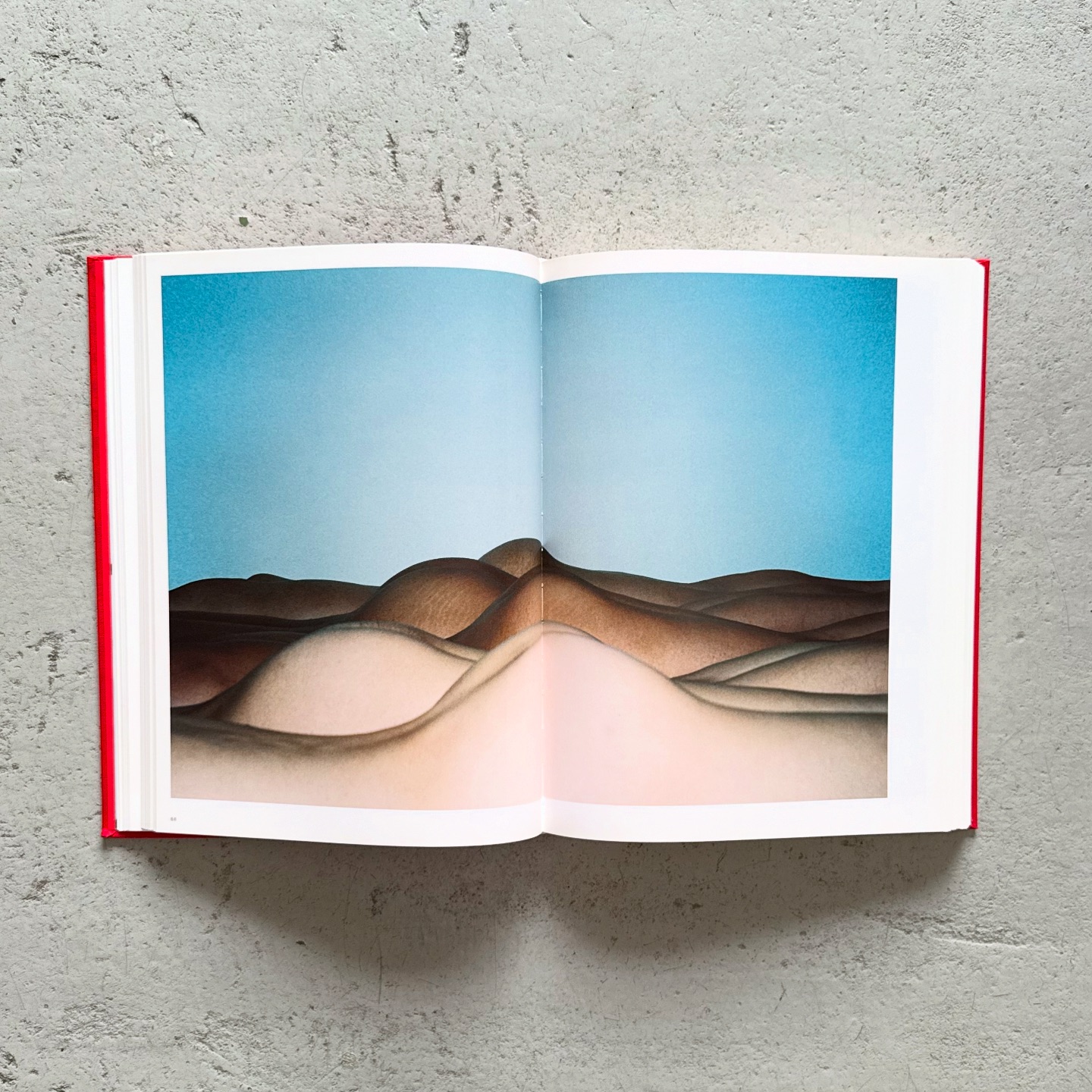 Ren Hang 中国の写真家レン・ハンによる集大成的写真集。本書は、30歳 