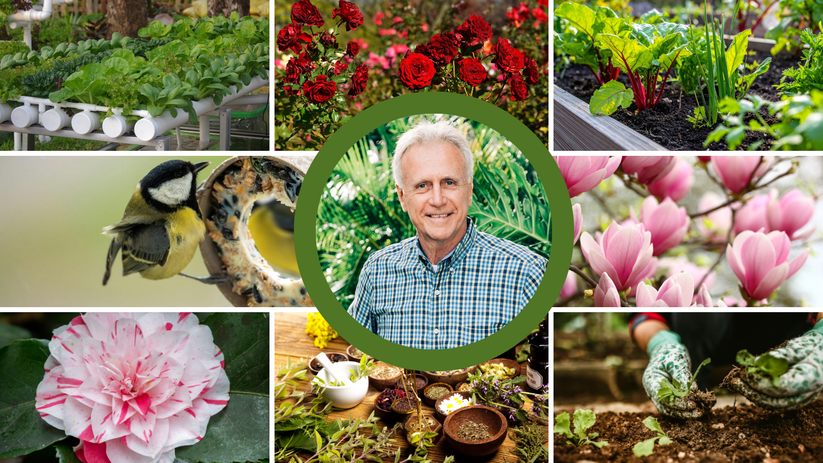 Peters Nursery &amp; Garden... - Peters Nursery &amp; Garden Center