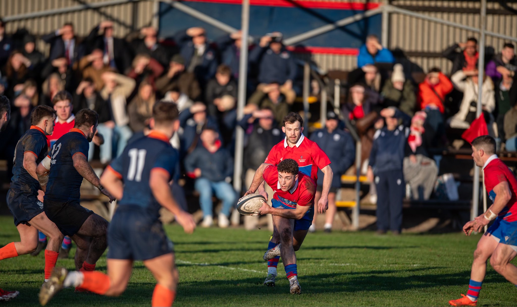 Caledonia Reds