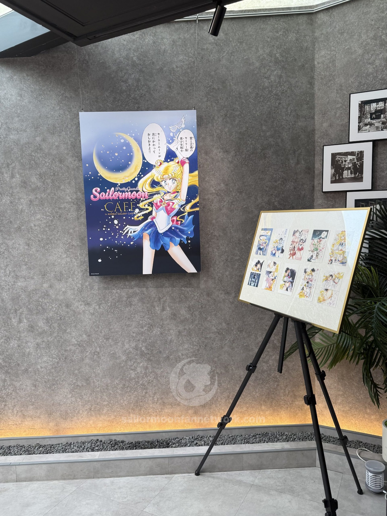 セーラームーン Guardian Moon Sailor Pretty CAFE