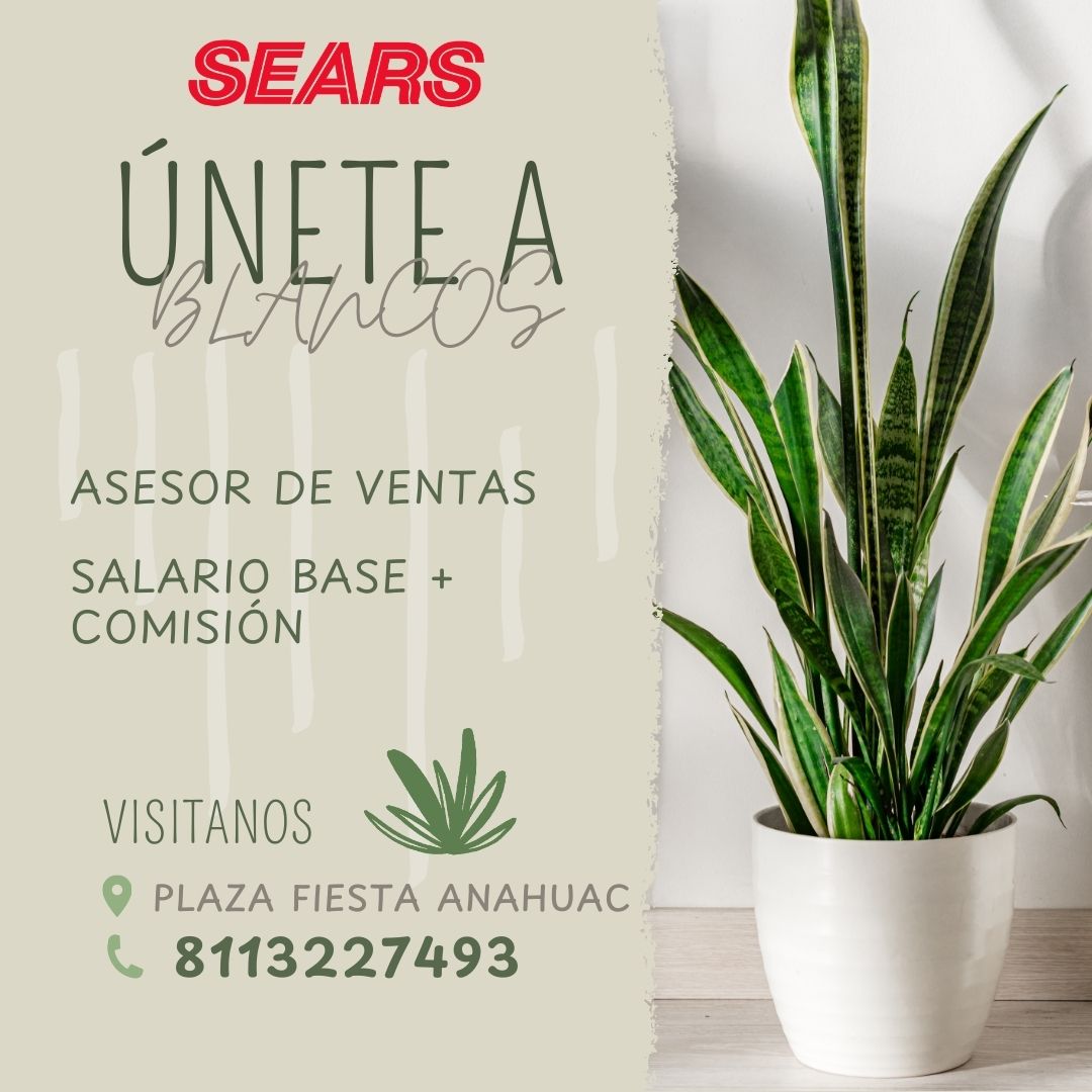 Empleo - 🌟 ¡NUEVA OPORTUNIDAD EN SEARS PLAZA FIESTA ANÁHUAC! 🌟 Estamos ...